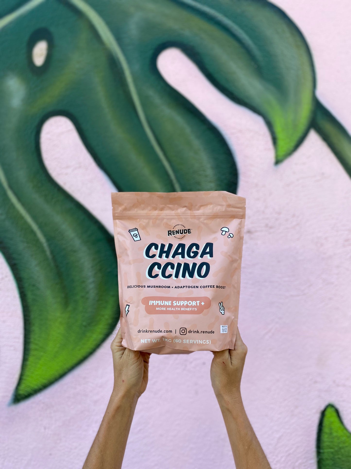 Add Chaga powder